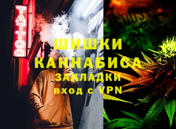 твердый Алексин