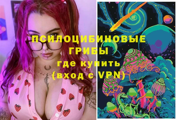 твердый Алексин