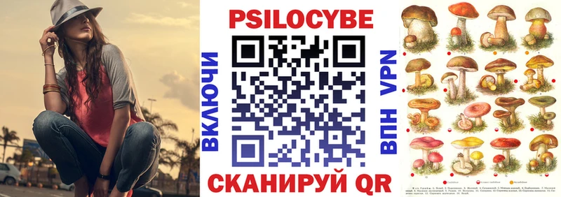 Галлюциногенные грибы Cubensis  MEGA ссылка  Нижний Новгород 