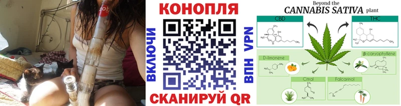Бошки Шишки ГИДРОПОН  продажа наркотиков  Нижний Новгород 
